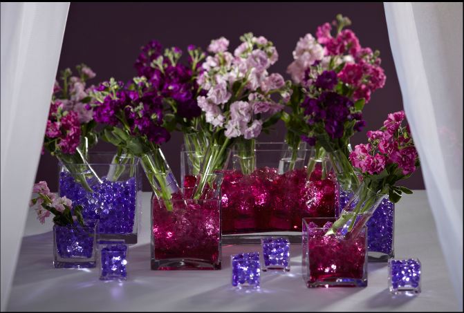 Floralytes in cube vases with flowers