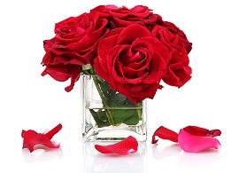 Cube vases with beautiful red roses